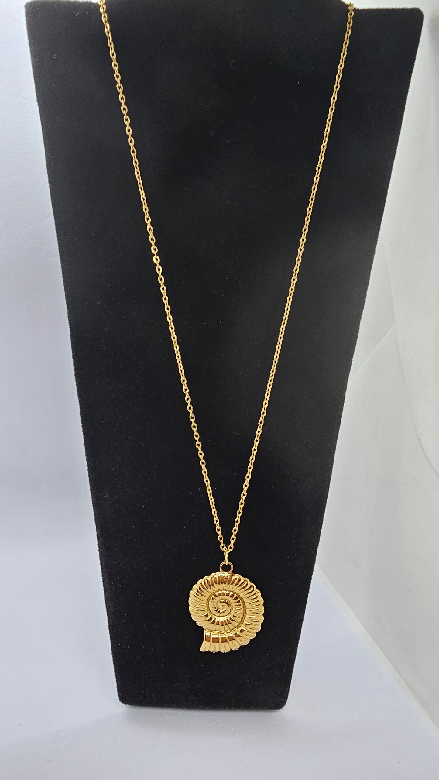 Collier en acier inoxydable